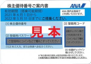 ANA株主優待券 (有効期限:2022年11月末ご搭乗まで※延長含む)